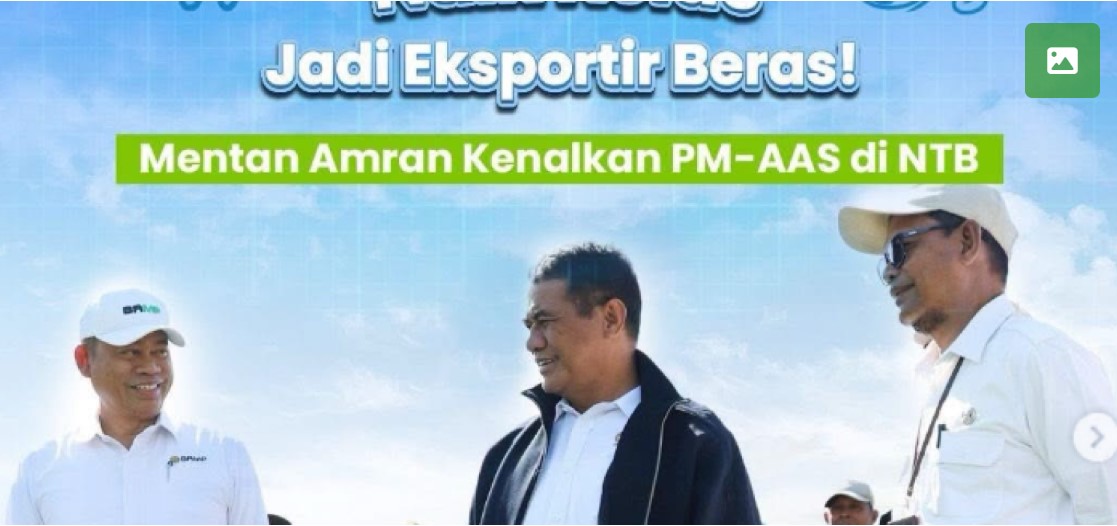 Indonesia Siap Jadi Eksportir Beras!